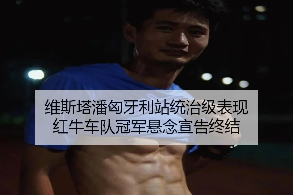 维斯塔潘匈牙利站统治级表现 红牛车队冠军悬念宣告终结